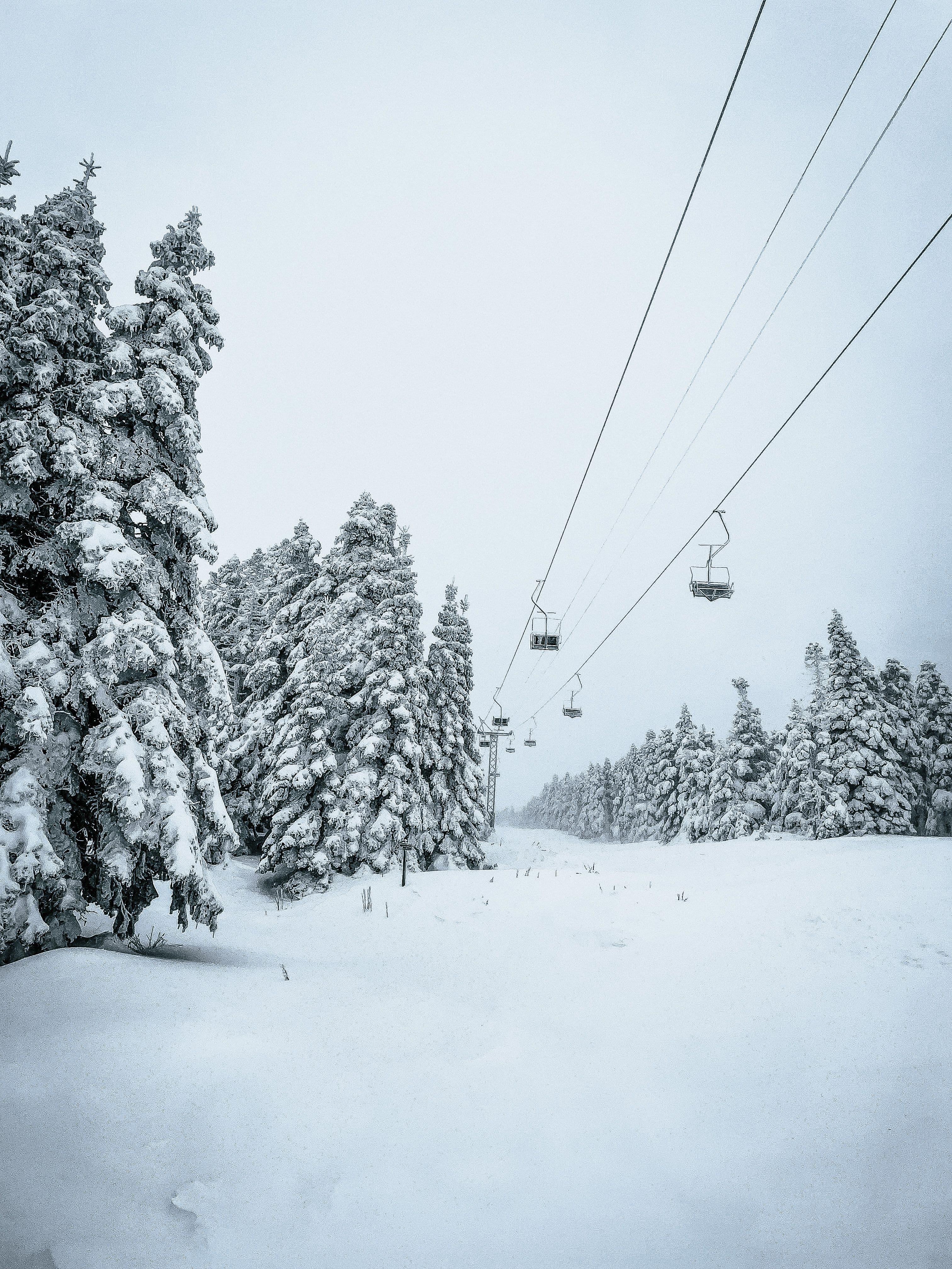 Gulmarg Gondola