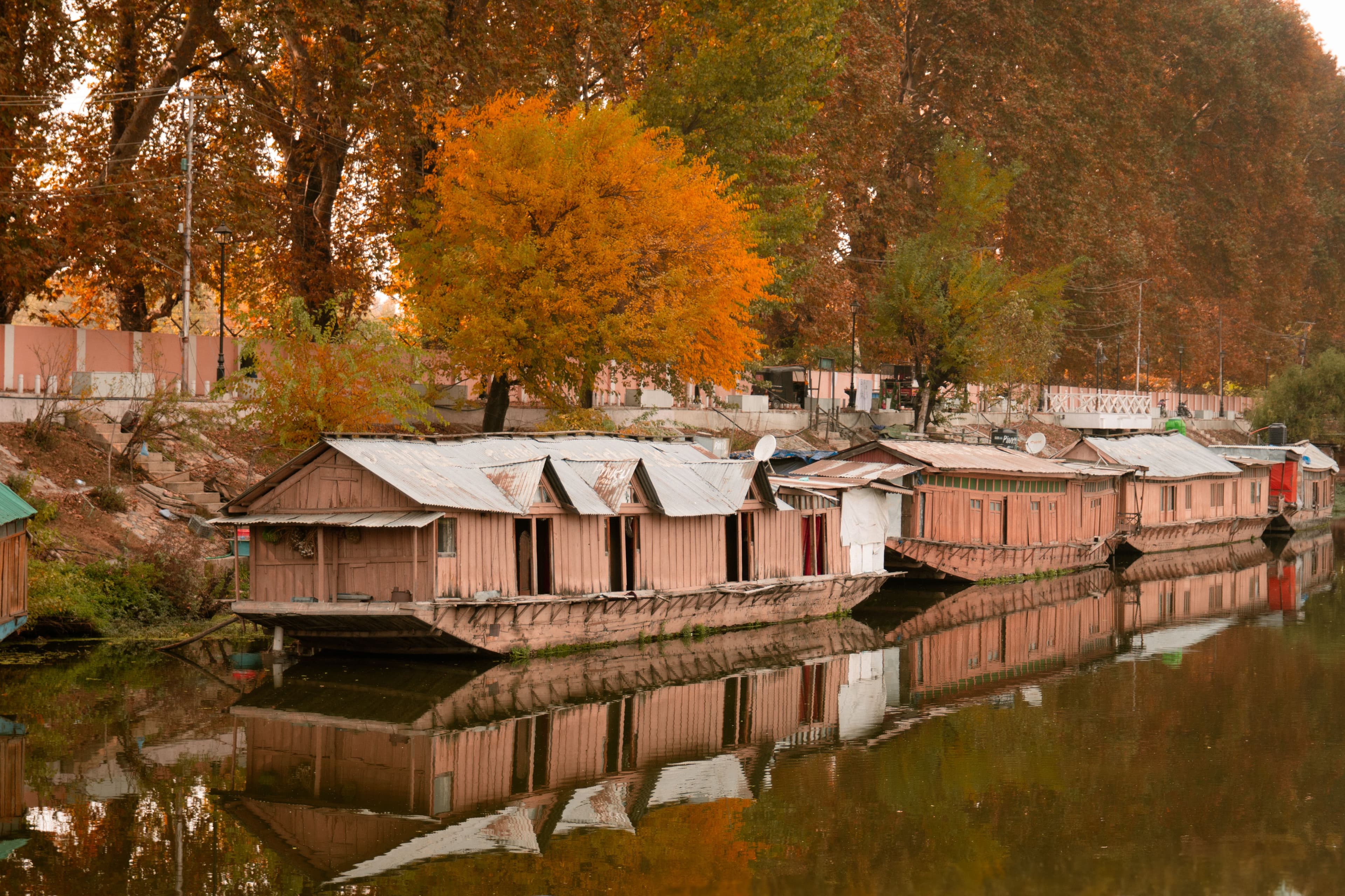 Autumn