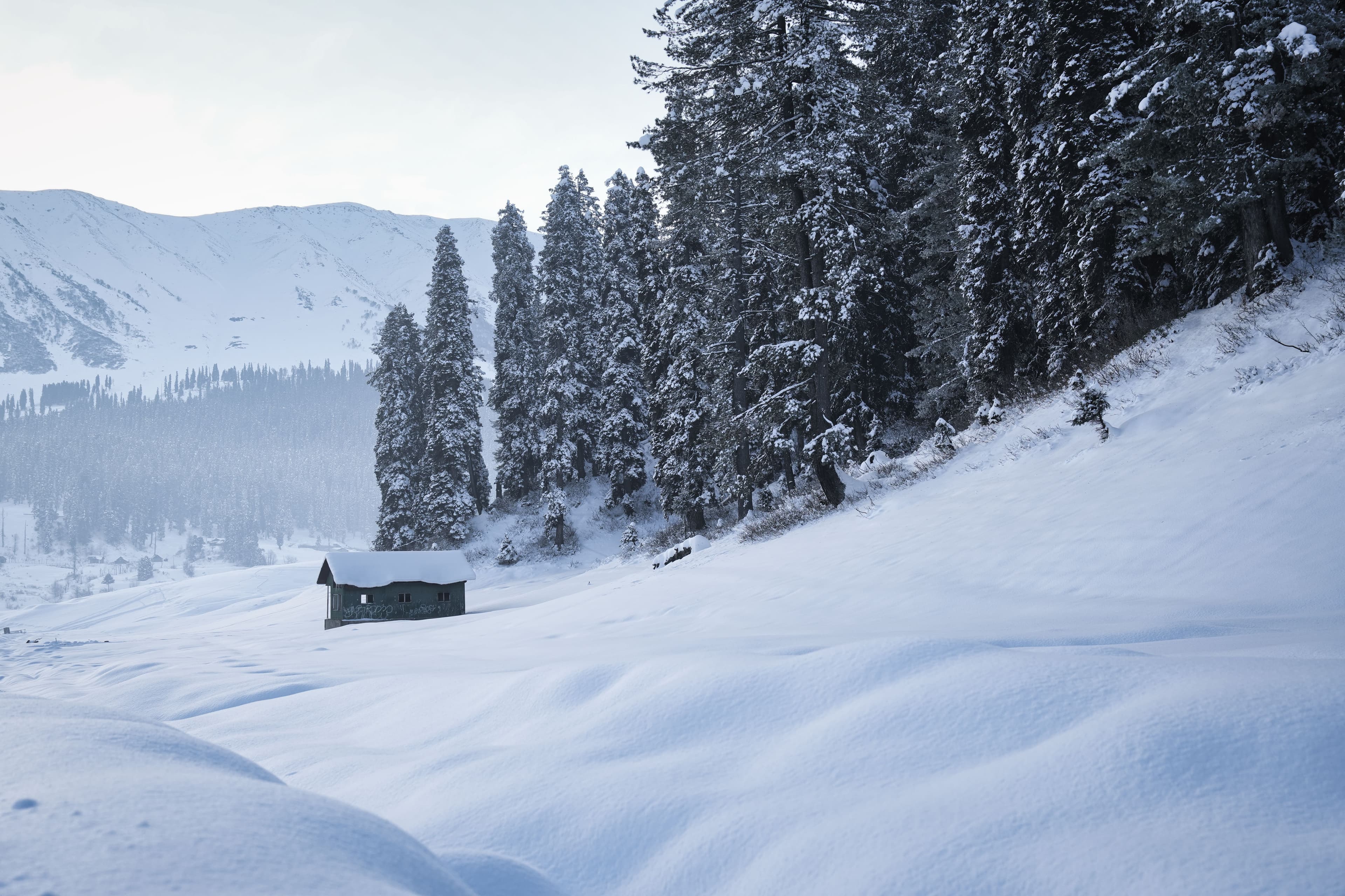 Winter